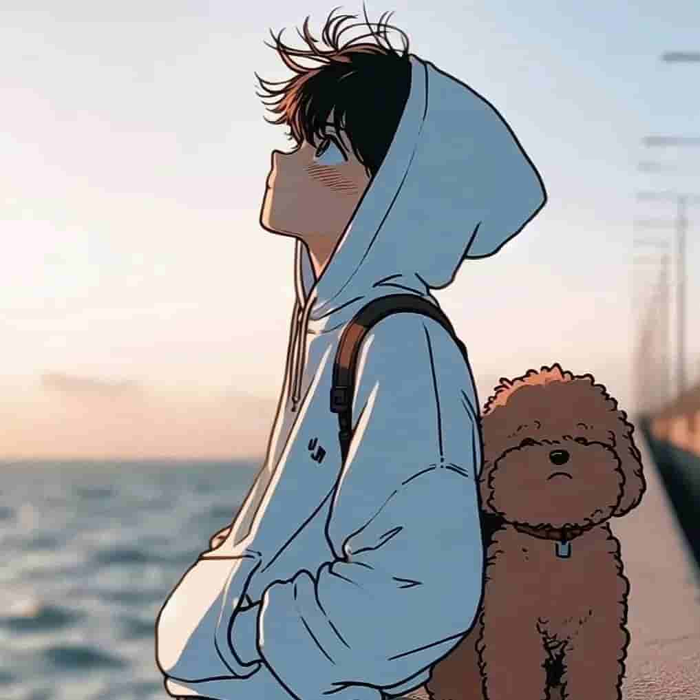 「11.06」免费节点合集 | 2025年最新Shadowrocket/Clash/V2ray/SSR订阅链接